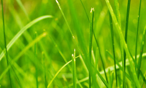 免费电话轰炸机